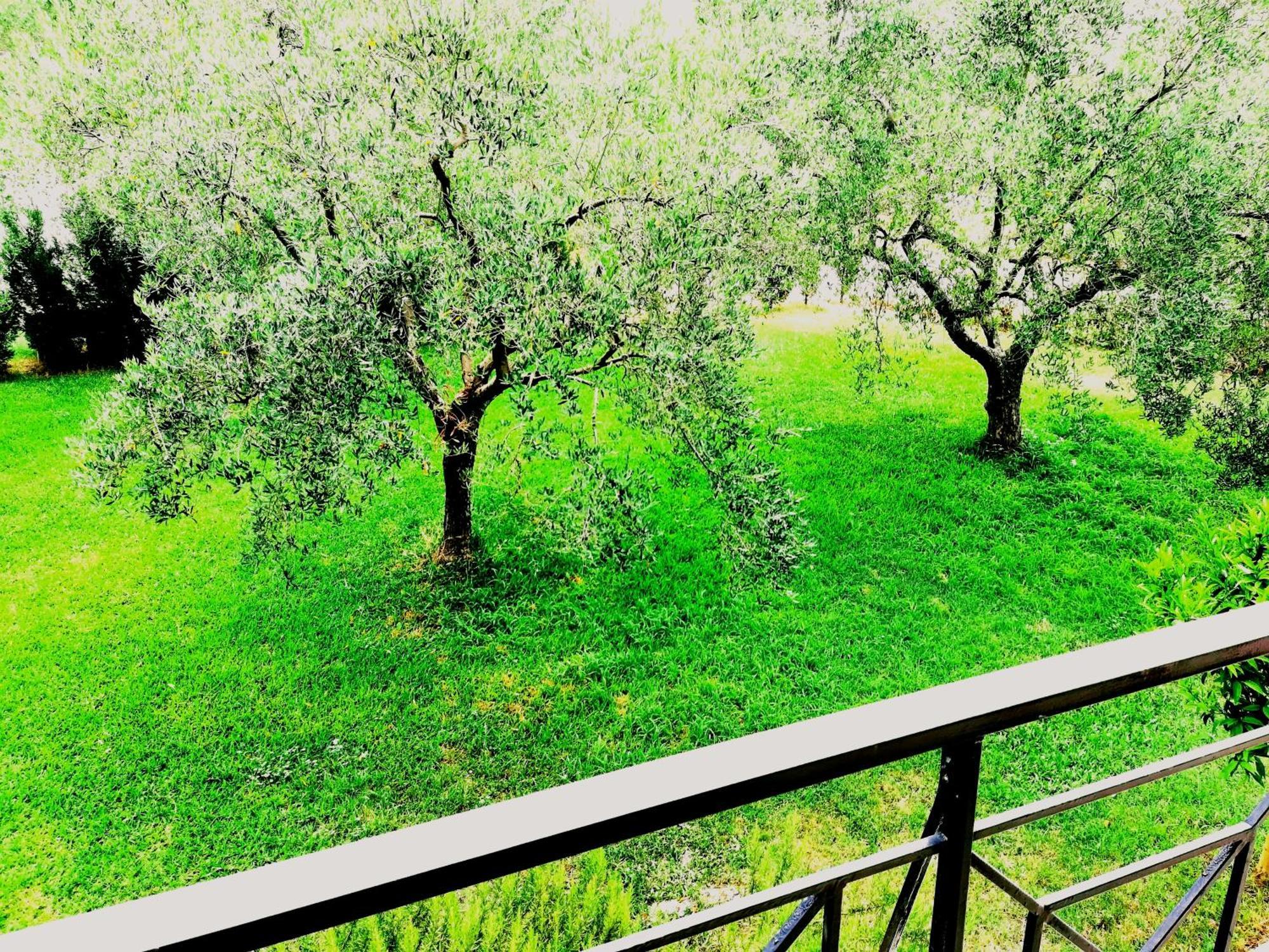 Giorgos Apartments. Skála Foúrkas Екстериор снимка